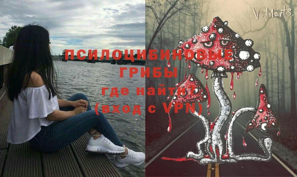 СК Арсеньев