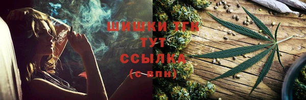 сатива Касимов